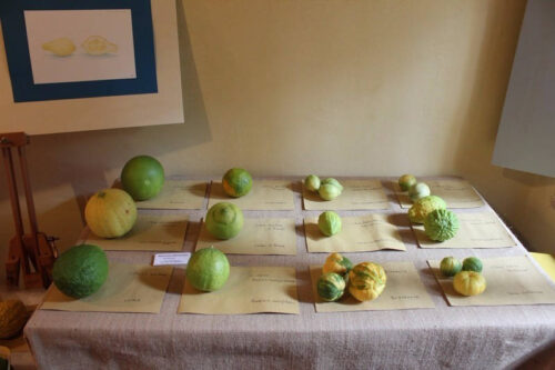 villaggio-babbo-natale-ficana-2013-20