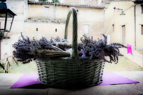 saperi-sapori-profumi-lavanda-2013-13